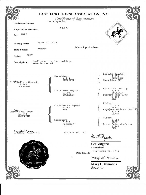 paso fino mare pedigree